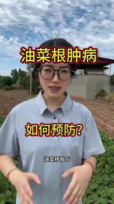 油菜移栽后发生根肿病怎么办？一定是预防为主，及时进行土壤消毒！还有什么药剂能防治，欢迎评论区留言！#三农 #涨知识 #三农种植 #油菜种植