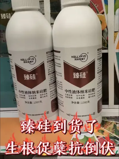 厂价直销臻硅又到货啦，一瓶二十亩，生根返青促分蘖，壮杆壮苗抗倒伏#农资肥料 #三农种植 #小麦 #高产小麦 #臻硅