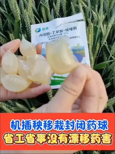 机插秧移栽田封闭小药球 省工省事效果好，没有漂移药害，三元复配加强版，数量有限，先到先得#水稻种植 #水稻除草剂 #水稻 #农资肥料 #农业种植