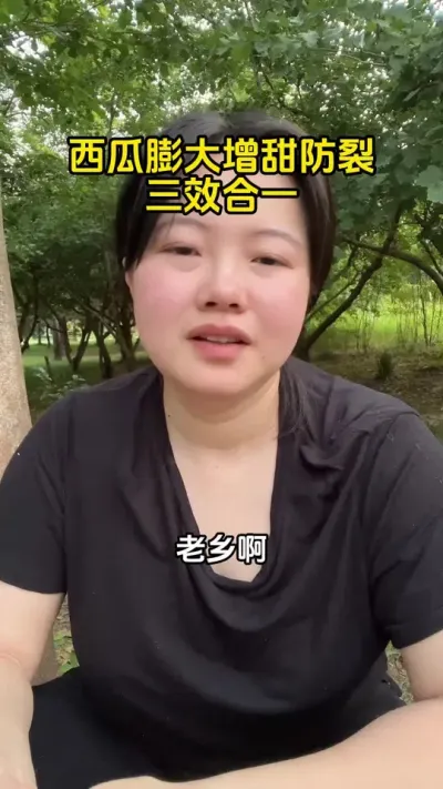 #西瓜管理 #西瓜高产 #西瓜膨大#西瓜种植技术#西瓜种植