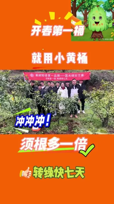 开春第一桶，就用国光小黄桶！须根多一倍转绿快七天！#四川国光 #国光绿壮方案