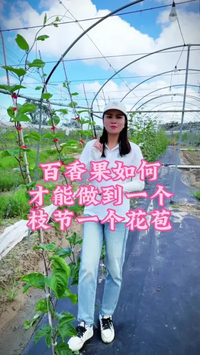 百香果如何管理才能做到一个枝节一个花苞呢！#乡村守护人 #三农 #我的农村生活 #百香果 #抖音助农 @DOU+小助手 @抖音小助手