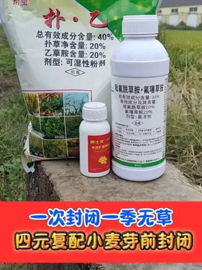 小麦专用加强版苗前封闭天花板 四元复配，封草种类更多，封草时间更长#小麦种植 #小麦封闭除草剂 #小麦 #农资肥料
