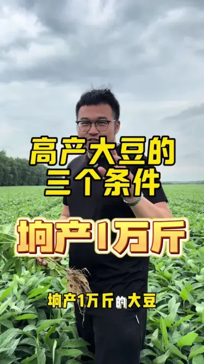 大豆高产技术 #农业种植 #抖音新农人 #农技推广
