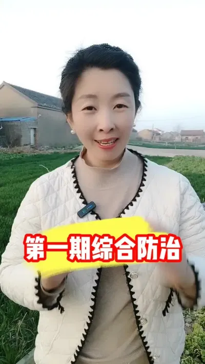 小麦田综合防治看苗情而定 #小麦种植 #小麦种植管理技术 #小麦 #农资肥料 #吴平农资