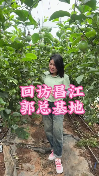 百香果想要高产，水肥方案一定要用对✓#乡村守护人 #服务三农支持三农 #抖音助农 #新农人计划 #百香果 @抖音小助手 @DOU+小助手