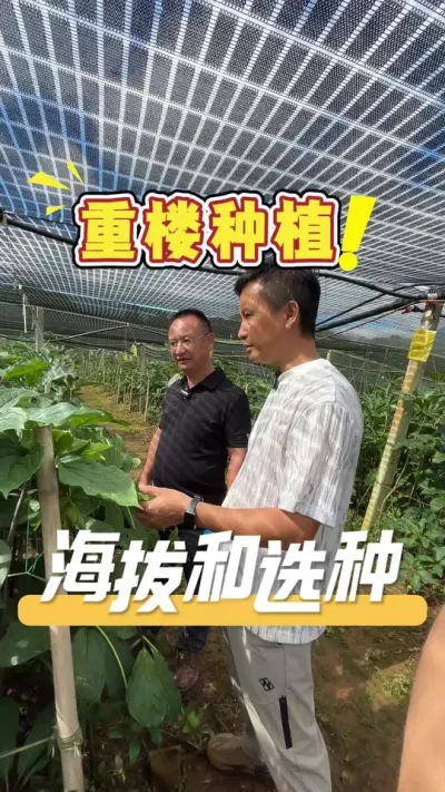 如果你也想栽种重楼，海拔和选种的问题和关键，让陈老板告诉你。#重楼#重楼种植#农业技术推广#农业种植