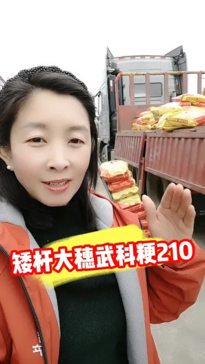 武科粳210高抗倒伏洁田稻又到货啦 #武科粳210 #水稻种植 #水稻品种 #水稻 #农资肥料