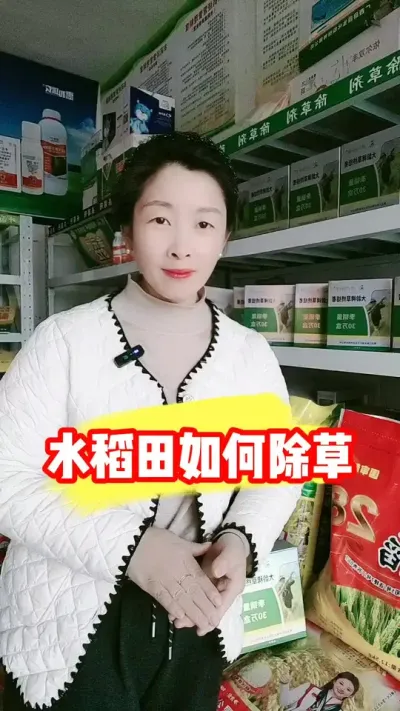 水稻田抗性稗草马唐牛筋草千金子就用铁砂掌 #铁砂掌除草剂 #水稻除草 #水稻除草剂 #农业种植 #吴平农资