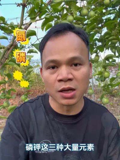 种百香果不要只关心氮磷钾#百香果种植技术 #百香果施肥