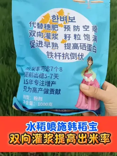 水稻后期防低温促早熟增产量 韩稻宝一袋十亩地#水稻种植 #水稻 #农资肥料 #农业种植 #吴平农资