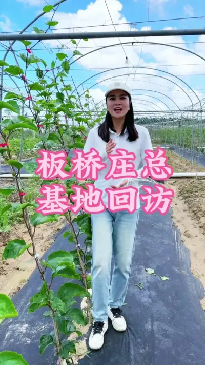 板桥庄总的基地，用了施康禾一号水肥方案一个枝节一个花苞！#乡村守护人 #三农 #抖音助农 #百香果#我的农村生活 @抖音小助手 @DOU+小助手