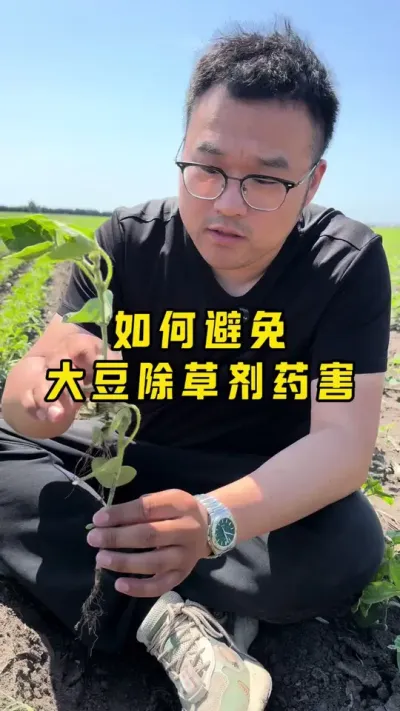 如何有效避免大豆除草剂药害 第一，添加耘卫士。第二，除禾本和阔叶的除草剂分开打。