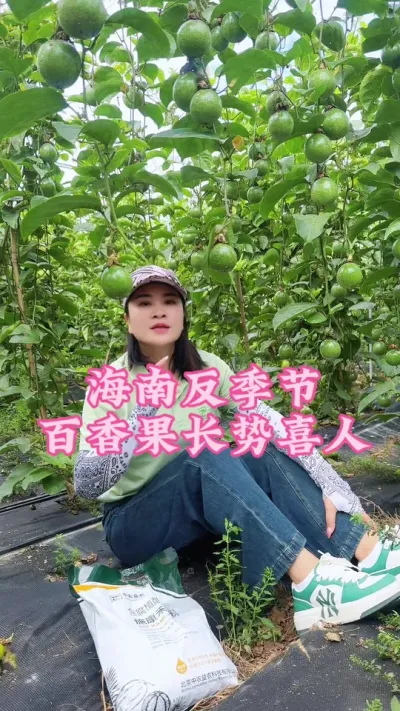 海南反季节百香果尖峰基地全程用施康禾一号的水肥方案，采摘三个月后品质和产量还是一样的喜人！#乡村守护人 #服务三农支持三农 #抖音助农 #百香果 #新农人计划 @抖音小助手 @DOU+小助手
