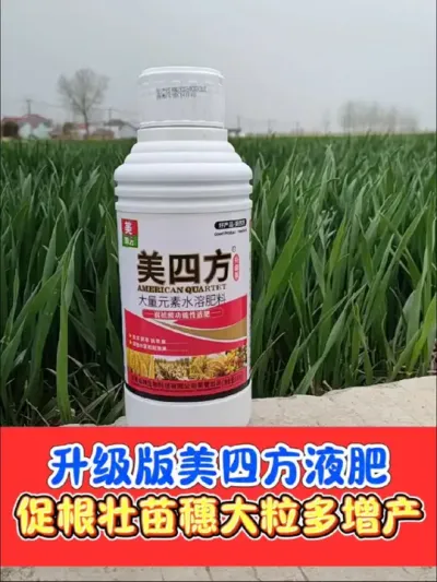美四方功能型络合液态肥 增产升级版美四方功能型液肥，增产增收显著，三年热卖，大户首选#小麦 #小麦种植 #农资肥料 #农资店 #美四方叶面肥