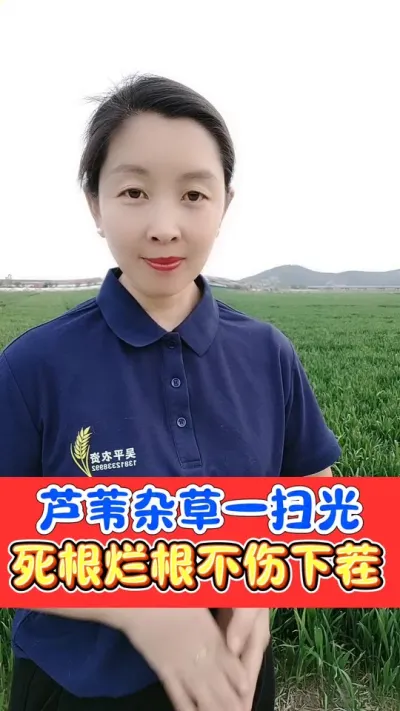芦苇茅草杂草一扫光 好农手烂根组合，除草彻底，烂根不反弹#农资肥料 #除草剂 #三农种植 #除草 #除草神器