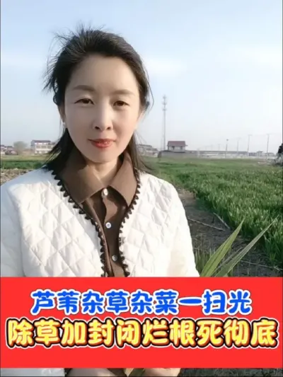 芦苇杂草杂菜全部死草烂根 除草加封闭，烂根彻底不反弹，见草就杀#除草剂 #除草 #除草不伤作物 #抖音助农 #农资肥料