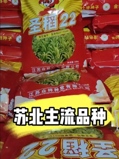 苏北主流高产水稻品种 #水稻种植 #水稻品种 #水稻 #高产水稻 #农资肥料