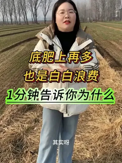 底肥上再多也是白白浪费，1分钟告诉你为什么#三农 #农业种植 #高产玉米种子 #支持三农服务三农