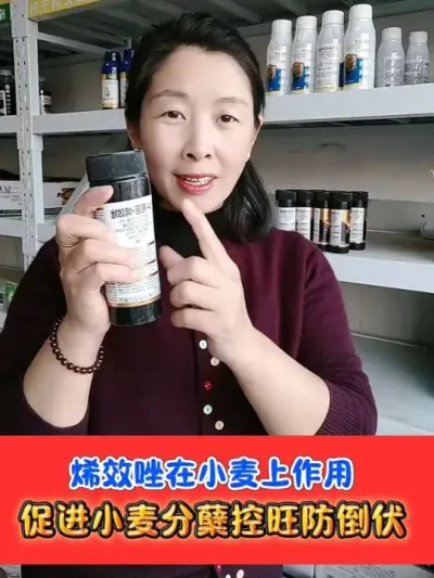 解锁烯效唑在小麦上的强大作用 #小麦种植 #小麦分蘖 #农资肥料