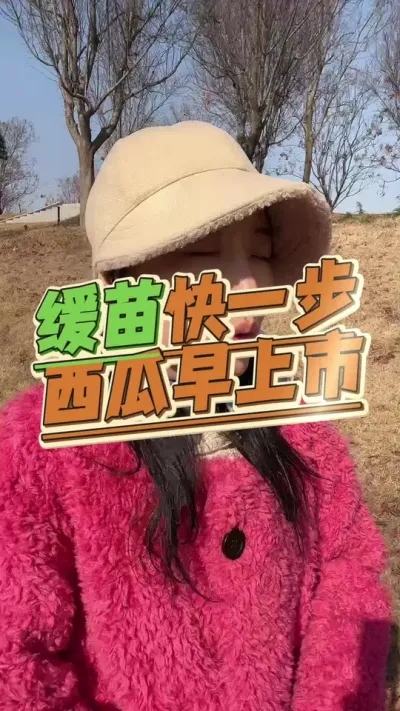 #西瓜种植#西瓜管理 #生根壮苗