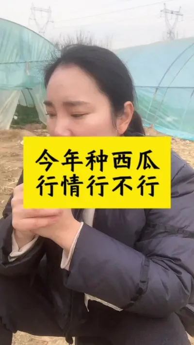 #西瓜种植 #西瓜 #西瓜种植技术 #大棚西瓜 #种西瓜
