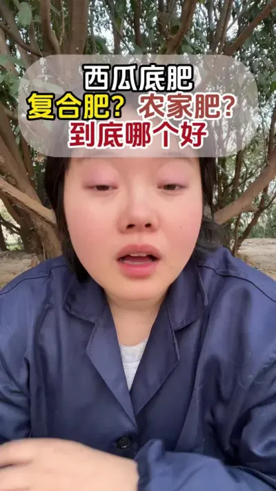西瓜底肥到底用什么 #西瓜种植#西瓜管理#西瓜高产#西瓜施肥