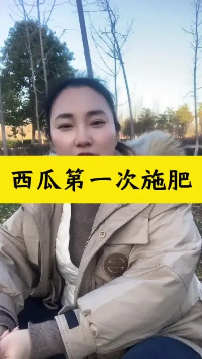 ##西瓜种植 #种西瓜#西瓜种植技术 #大棚西瓜