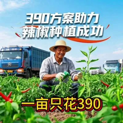 390在辣椒上的效果反馈！#三农#农资#农业技术推广