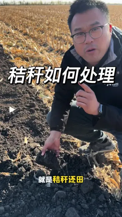 秋收将要结束，秸秆如何处理？ 秸秆如何处理#深翻 #秸秆还田 #抖音新农人