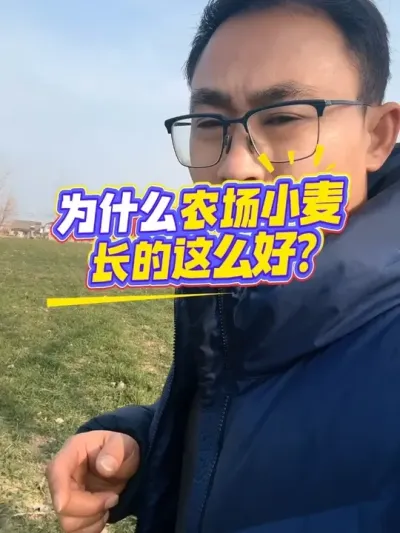 为什么农场小麦长的这么好?#小麦种植管理技术 #早播#抖音助农扶农 #新农人计划 #种地人