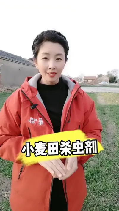 小麦田杀虫剂 #小麦种植 #小麦管理 #小麦杀虫剂 #农资肥料 #三农种植