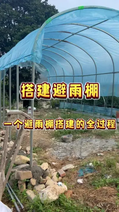 花了两天时间，我又又又搭了一个避雨棚，草莓，葡萄和明年的瓜瓜啥的都可以种在这里面！分享搭避雨棚的全过程～下期分享搭建草莓种植槽架子全过程！欢迎关注！#避雨棚#草莓 #葡萄#盆栽果树#贝子的盆栽小果园