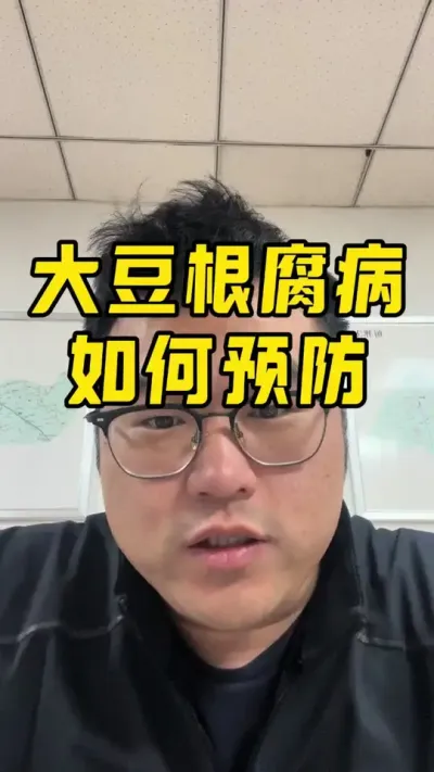 如何预防大豆根腐病？ #大豆根腐病 #大豆种植技术