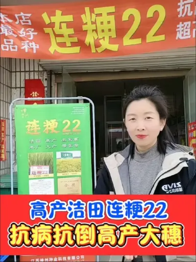 高产洁田粳稻☞连粳22，抗病抗倒产量高，好吃好卖收益高，直播机插秧首选#农资肥料 #三农种植 #水稻 #连粳22 #高产水稻品种@江苏神州种业