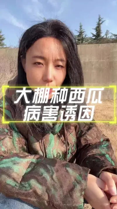 #西瓜种植 #病虫害防治