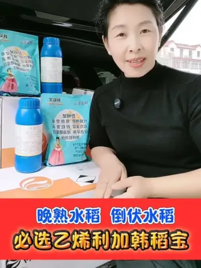 加速水稻灌浆促进早熟提高产量 晚熟水稻，倒伏水稻必备黄金搭档#水稻种植 #水稻 #农资肥料 #