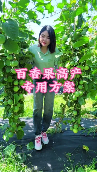 百香果高产专用方案来了，大家记得收藏起来！#乡村守护人 #服务三农支持三农 #抖音助农 #百香果 #新农人计划 @抖音小助手 @DOU+小助手