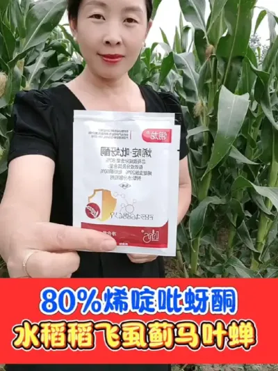 防治稻飞虱稻叶蝉就用80%烯啶吡蚜酮 触杀加内吸，持效期更长#水稻种植 #稻飞虱 #水稻稻飞虱防治 #农业种植 #农资肥料