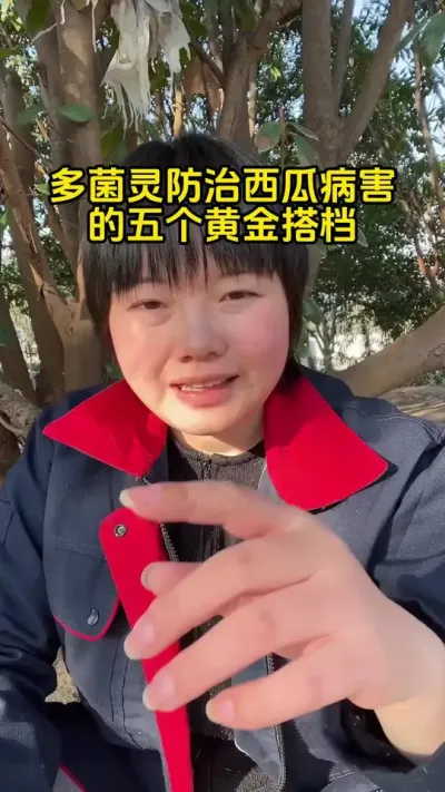 #西瓜种植#西瓜病害#西瓜管理#西瓜高产