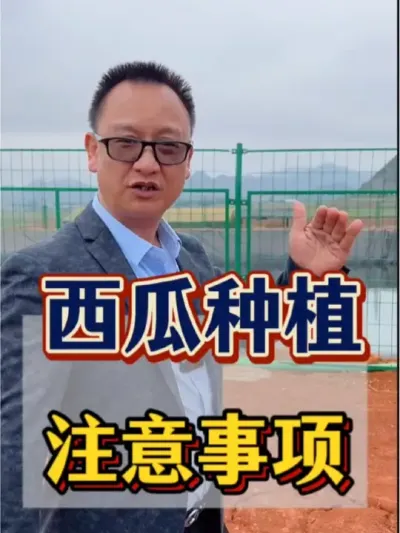 西瓜种植 西瓜种植，种植前的注意事项有哪些呢？#农业 #三农 #西瓜 #整地 #种植