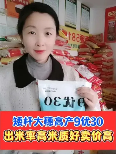 矮杆圆粒杂粳9优30，高吃高产 财神稻9优30，矮杆圆粒高产杂粳稻，出米率高，米质优粮价高，种植大户首选#高产水稻品种 #水稻 #水稻种植 #农资肥料 #抖音助农
