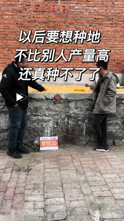 以后想要种地，就得研究高产 #创作者扶持计划 #农技分享 #三农