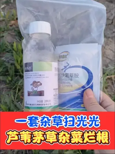 芦苇杂草一扫光烂根型除草剂 不影响下茬种植的除草剂，一套一桶水，打匀打透打仔细，死草烂根彻底#除草剂 #除草 #农资肥料 #农资店 #农业种植