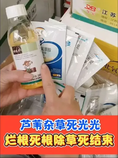 除草烂根芦苇杂草死光光 好农手烂根组合死草彻底，不影响下茬种植#除草剂 #烂根彻底 #烂根除草剂 #农资肥料 #农业种植
