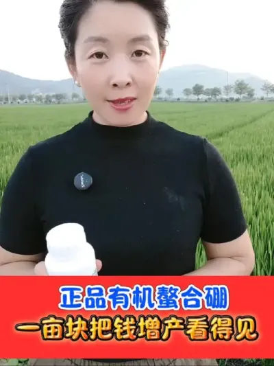 一亩块把钱，增产必备有机螯合硼 正品高端硼肥一瓶十亩地厂价直销#硼肥 #水稻种植 #水稻 #农资肥料 #农业种植