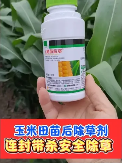 玉米苗后除草就选苗后宽，大厂除草剂更可靠 实体店热卖五年，不伤玉米，封杀杂草，玉米3到5叶期使用#玉米 #玉米种植 #玉米除草剂 #除草剂 #农资肥料