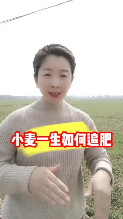 合理追肥培育壮苗孕大穗 #小麦种植 #小麦追肥 #小麦管理 #农资肥料 #农业种植