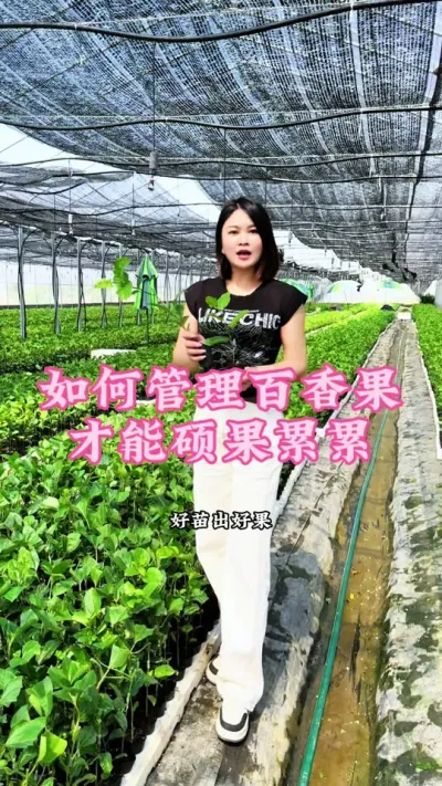 好苗出好果，百香果如何管理才能种植出高产量好品质呢！#乡村守护人 #三农 #我的乡村生活 #抖音助农 #新农人计划 @抖音小助手 @DOU+小助手