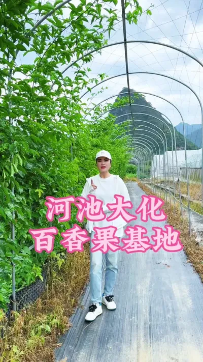 河池大化顾客基地回访！#乡村守护人 #我的乡村生活 #新农人计划 #抖音助农 #助力三农 @抖音小助手 @DOU+小助手